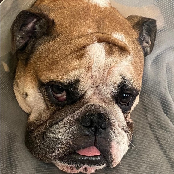 Meet your Posher, Wilian - Picture 1 of 7